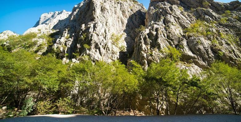 Apartments Carpe Diem Novigrad  Luaran gambar