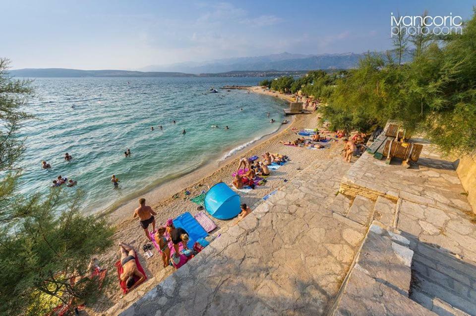 Apartments Carpe Diem Novigrad  Luaran gambar