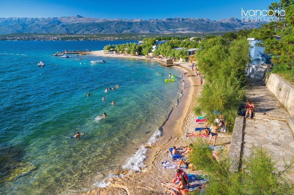 Apartments Carpe Diem Novigrad  Luaran gambar